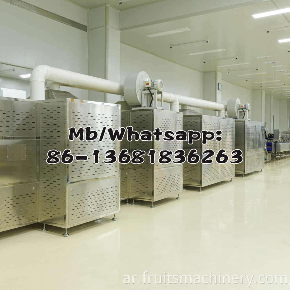 Air heat fruit and vegetable dryer, dried meat dryer, moisture evaporator Jumpfruits